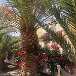 Paradise Amaya * 코스타 데 안티과